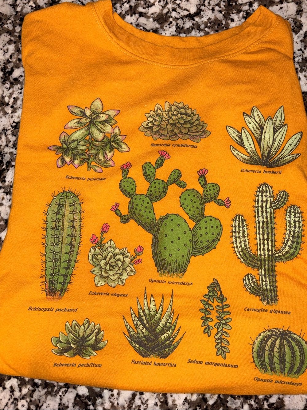 FIFTH SUN Succulent Cactus Graphic T-Shirt Orange XXL - Plant Graphic Tee
